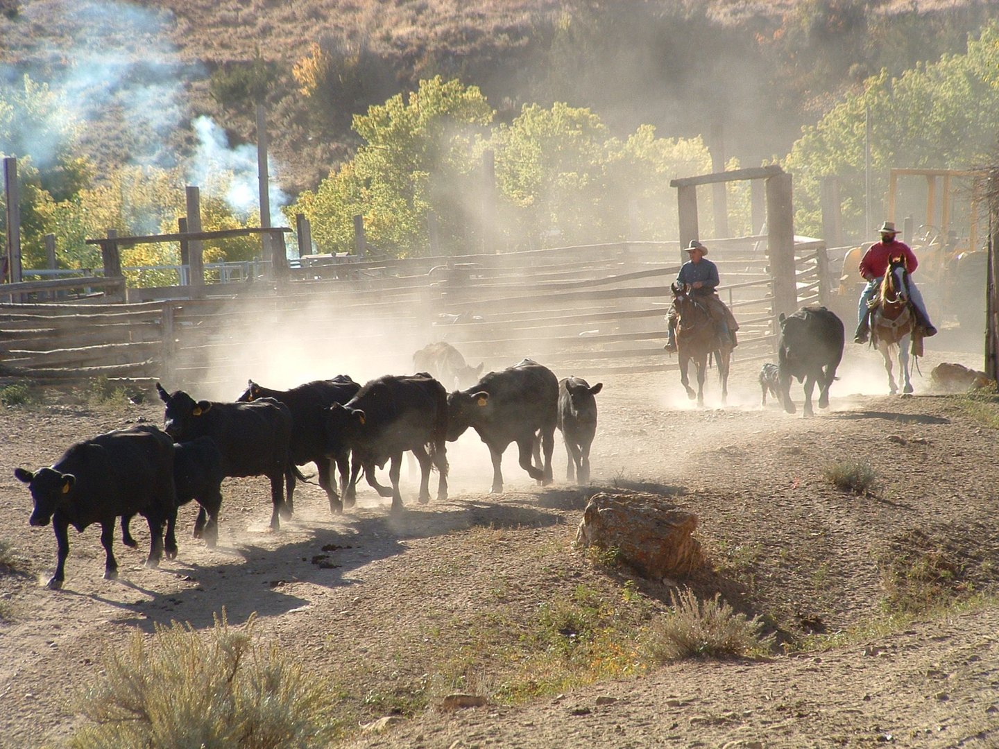 City Slickers?