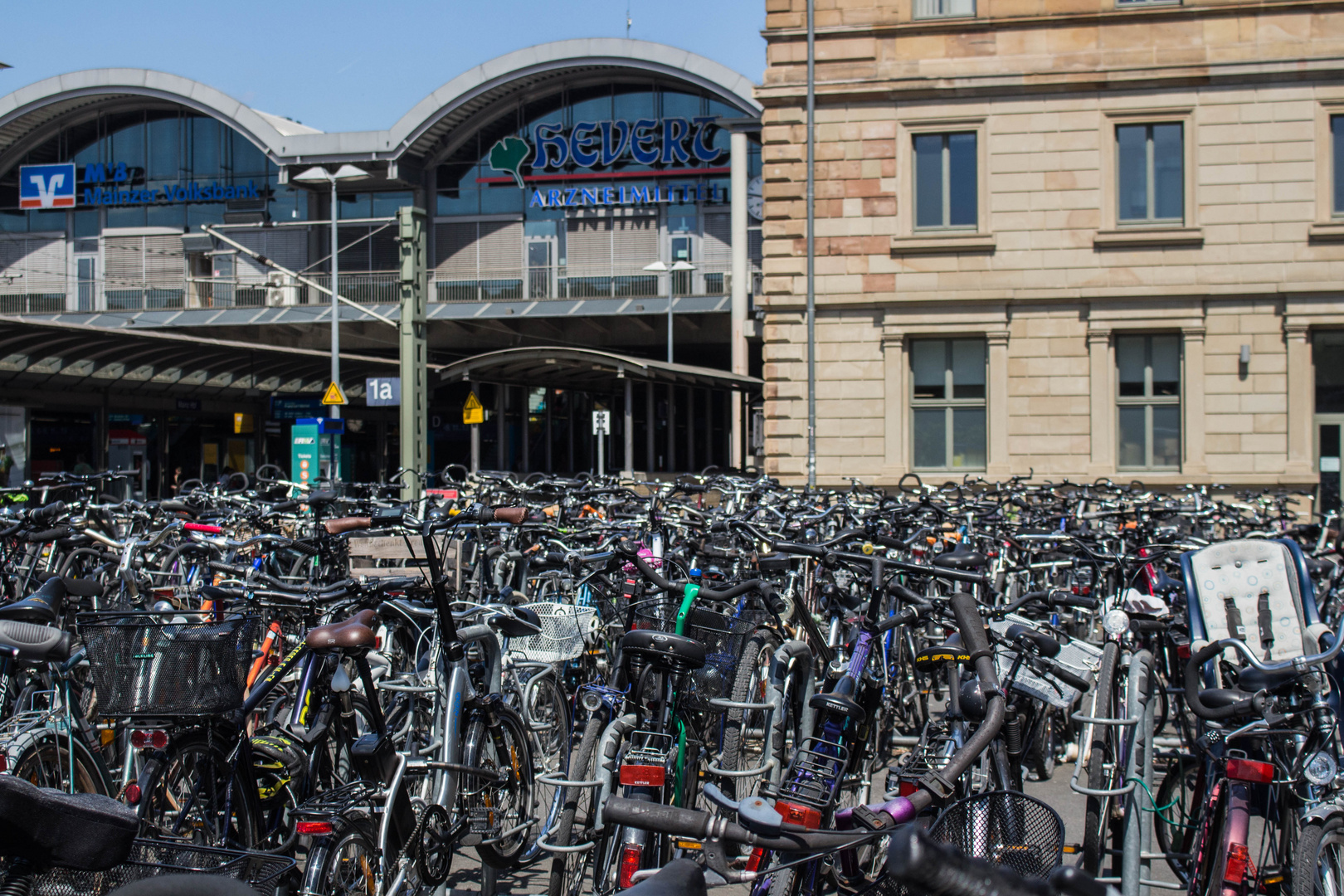 City-Tour Mainz (Juli 2019): Fahrradmeer