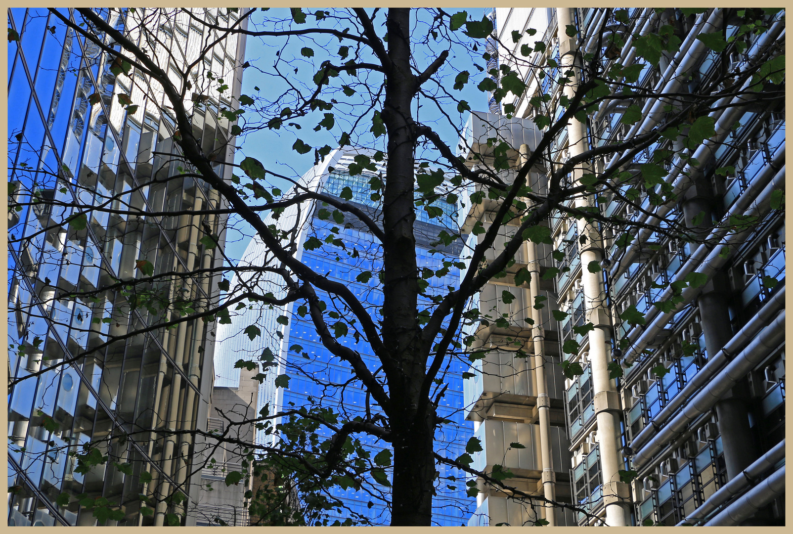 city tree 2