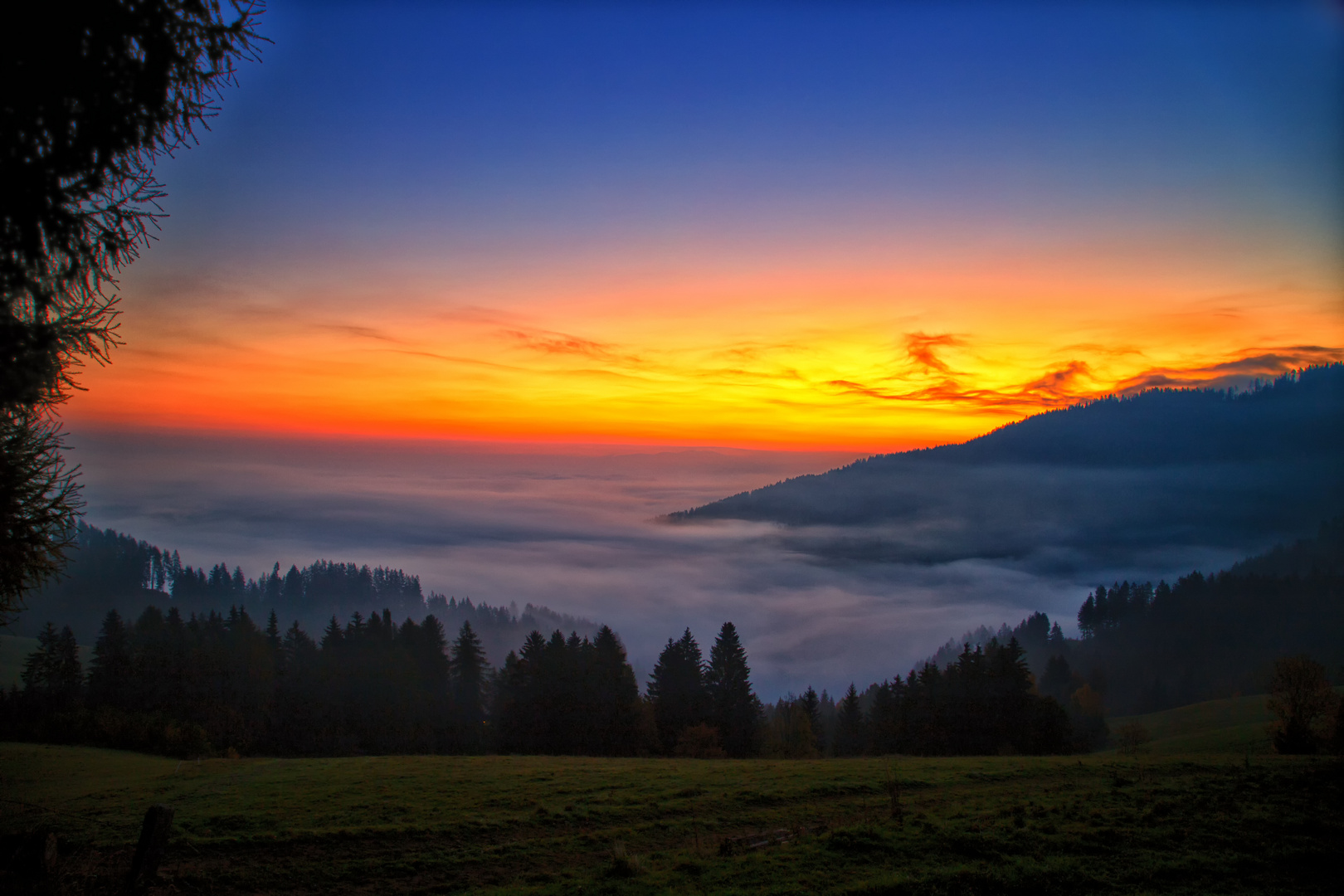 city under the fog