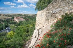 Cityscape with poppies