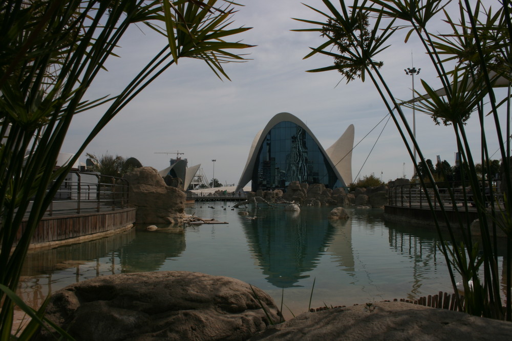 Ciudad de Artes y Ciencias Valencia