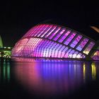 Ciudad de las Artes y Ciencias- VALENCIA