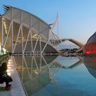 Ciudad de las Artes y de las Ciencias 1