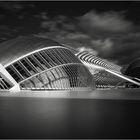 Ciudad de las Artes y de las Ciencias