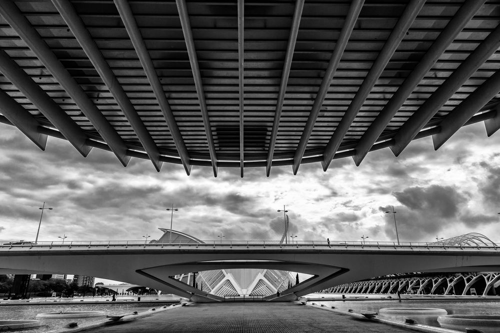 Ciudad de las Artes y de las Ciencias