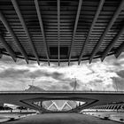 Ciudad de las Artes y de las Ciencias