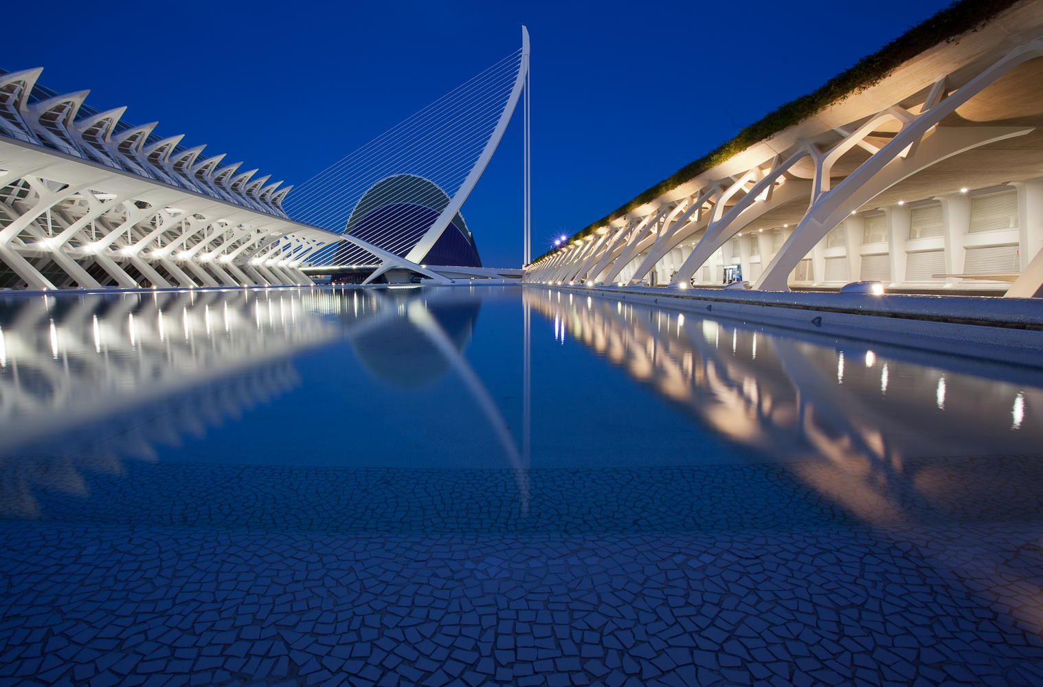 Ciudad de las Artes y de las Ciencias 5