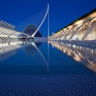 Ciudad de las Artes y de las Ciencias 5