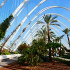 Ciudad de las Artes y de las Ciencias