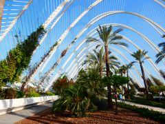 Ciudad de las Artes y de las Ciencias