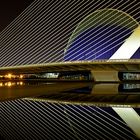 Ciudad de las Artes y de las Ciencias