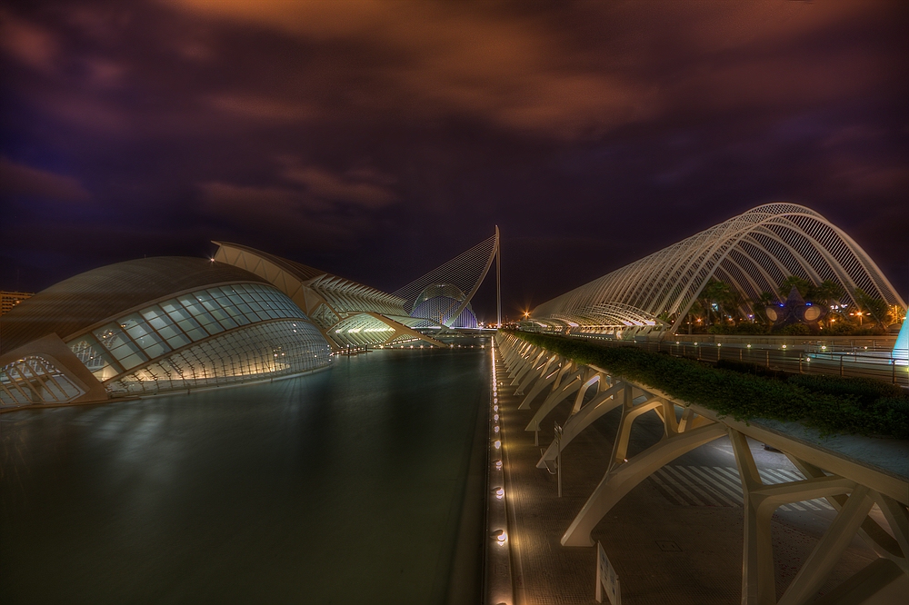 --- Ciudad de las Artes y de las Ciencias ---