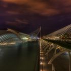 --- Ciudad de las Artes y de las Ciencias ---