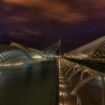 --- Ciudad de las Artes y de las Ciencias ---