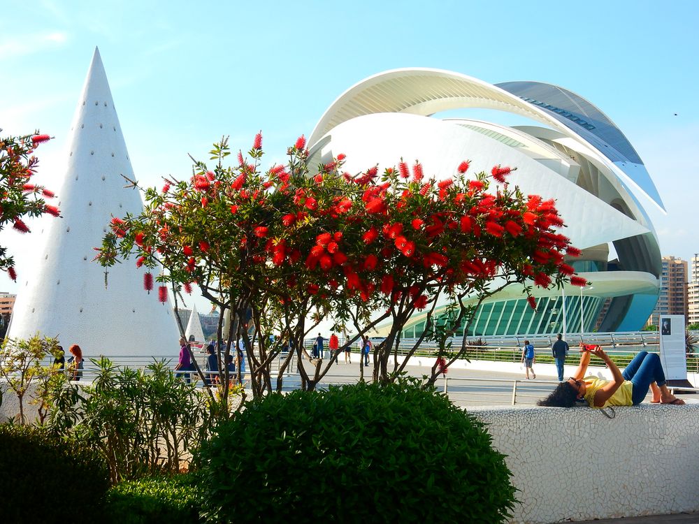 Ciudad de las Artes y de las Ciencias