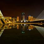 Ciudad de las Artes y de las Ciencias II