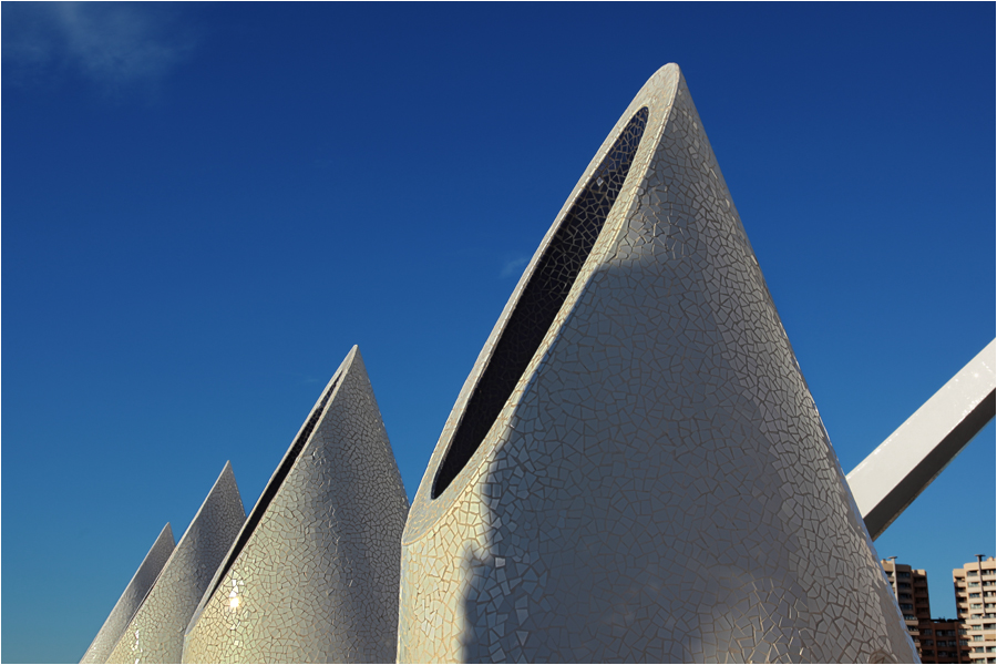 Ciudad de las Artes y de las Ciencias III