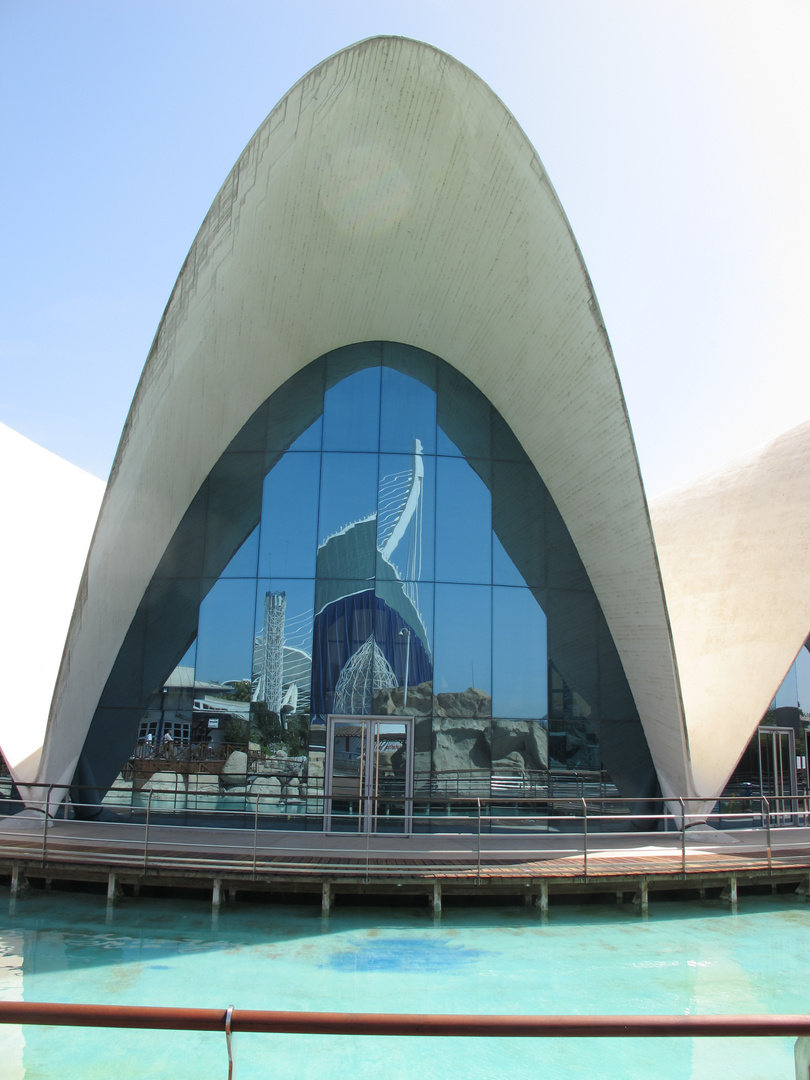 Ciudad de las Artes y de las Ciencias in Valencia