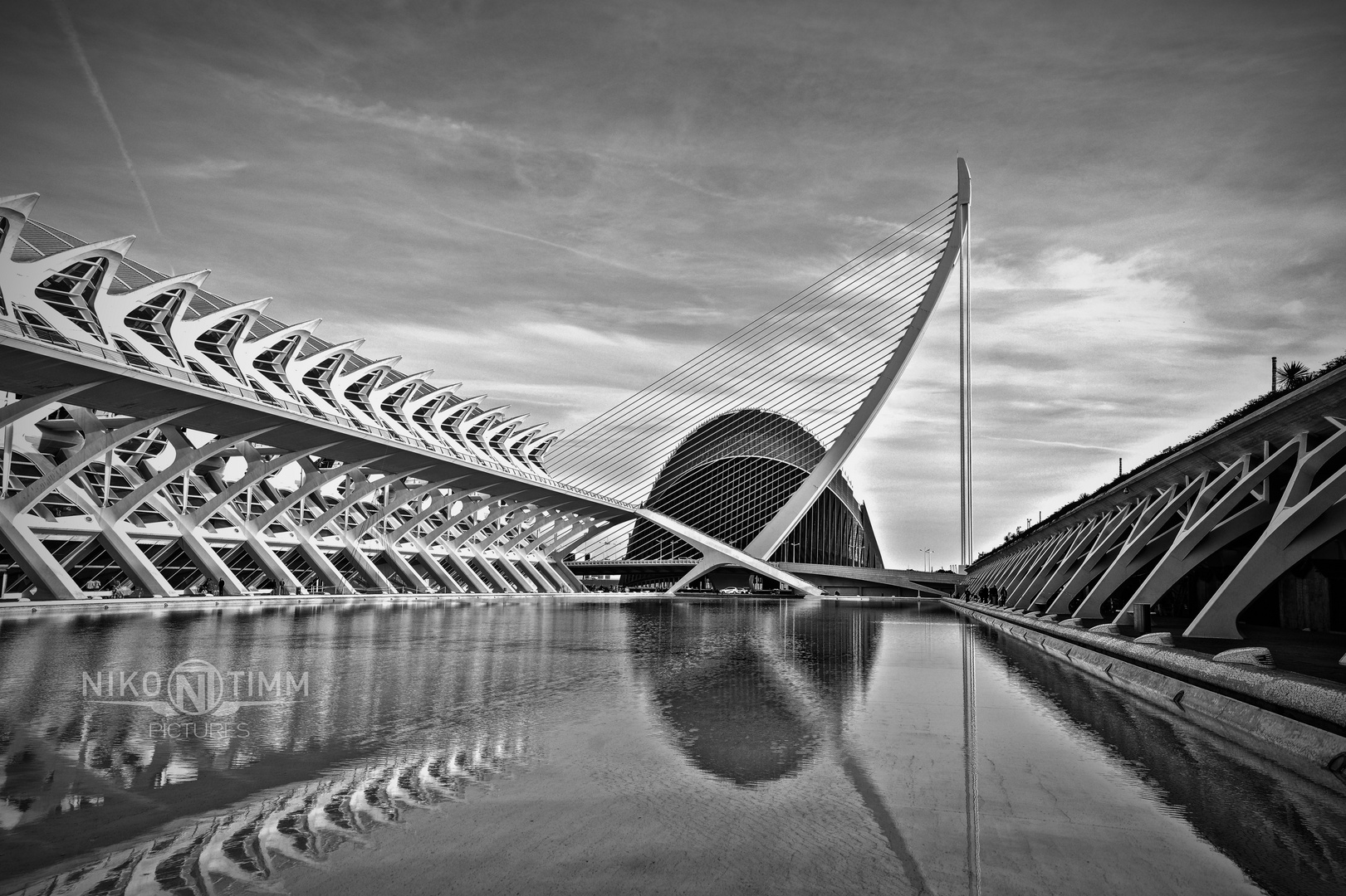 Ciudad de las Artes y de las Ciencias in Valencia