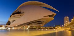 Ciudad de las Artes y de las Ciencias, Opera