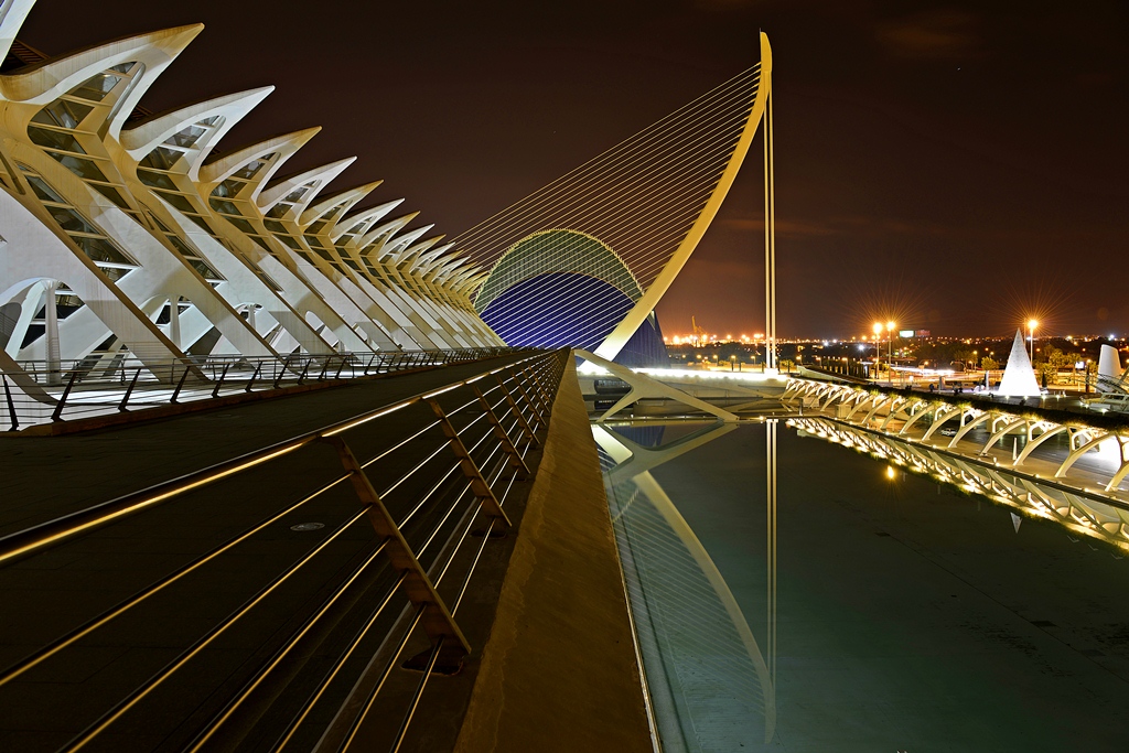 Ciudad de las Artes y de las Ciencias V