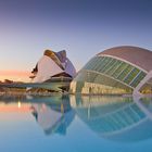 Ciudad de las Artes y las Ciencia