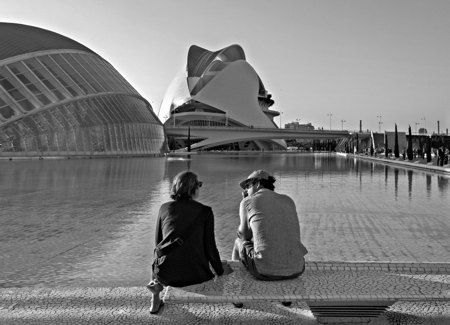 Ciudad de las Artes y las Ciencias-2 (Turistas) 