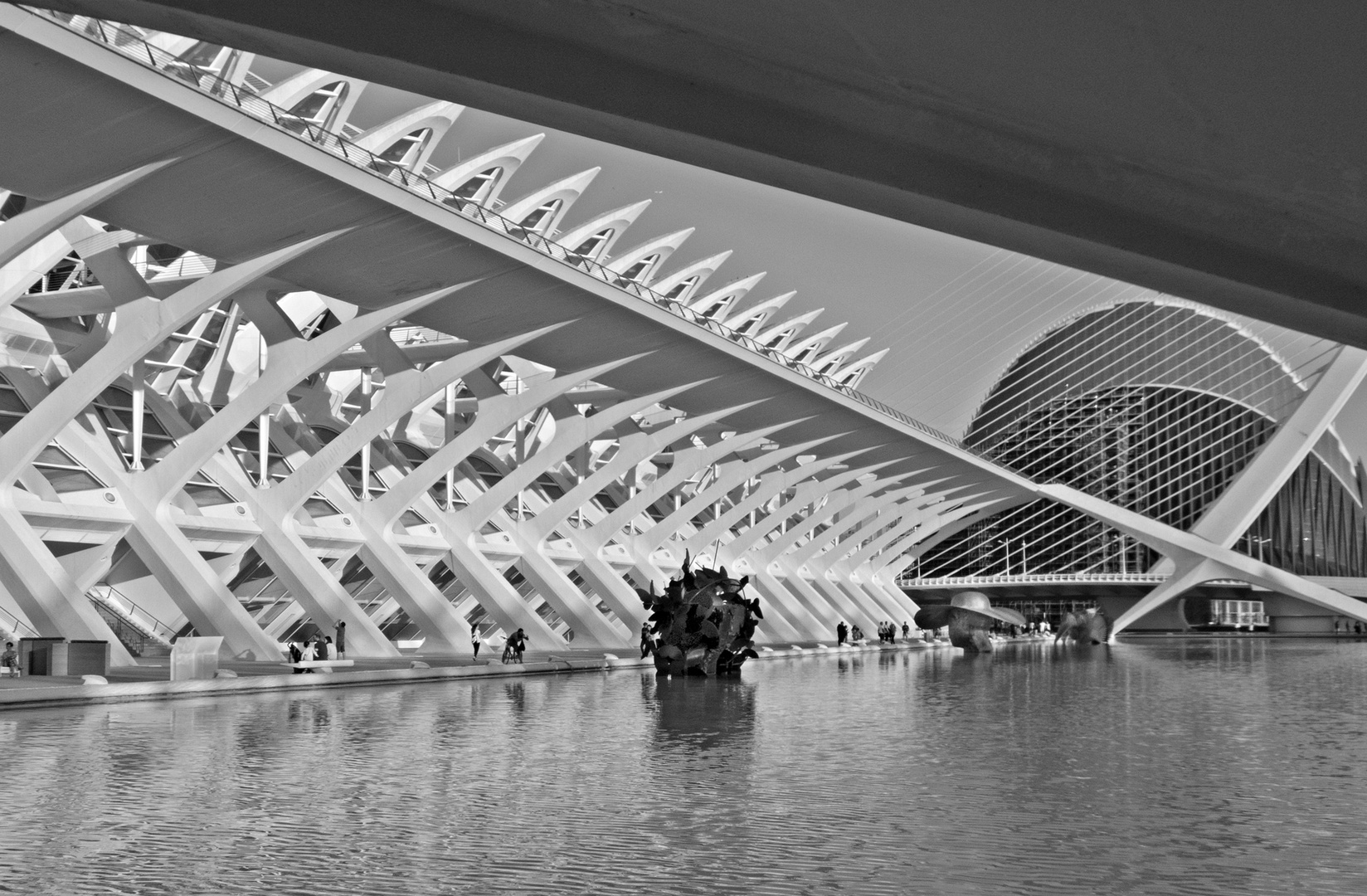 Ciudad de las Artes y las Ciencias-3