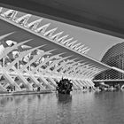 Ciudad de las Artes y las Ciencias-3