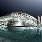 Ciudad de las Artes y las Ciencias 3 (Valencia)