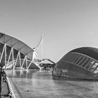 Ciudad de las Artes y las Ciencias-4