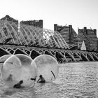 Ciudad de las Artes y las Ciencias - 6