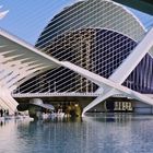 Ciudad de las Artes y las Ciencias-7 (Valencia)