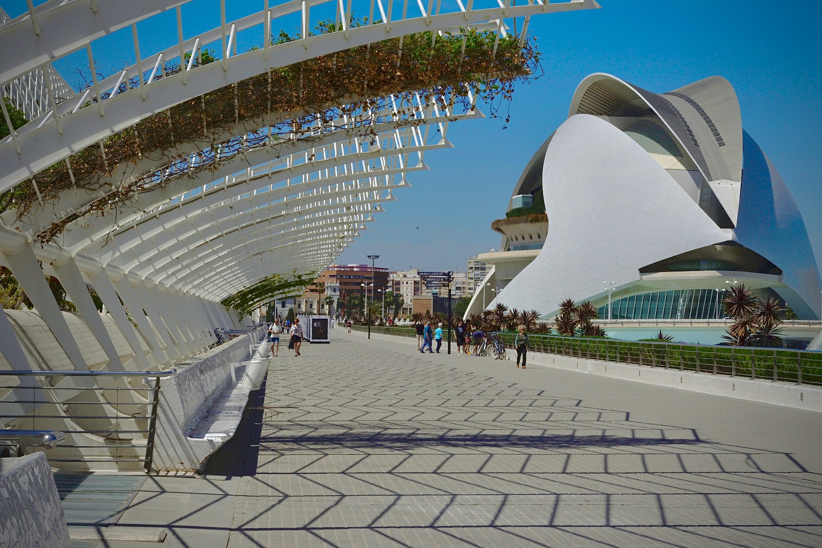 Ciudad de las Artes y las Ciencias 