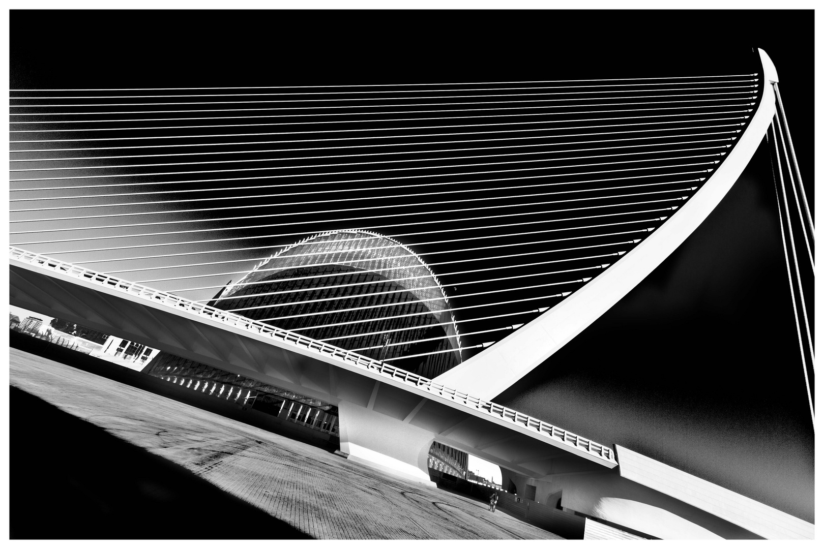 Ciudad de las Artes y las Ciencias - B&W - Valencia