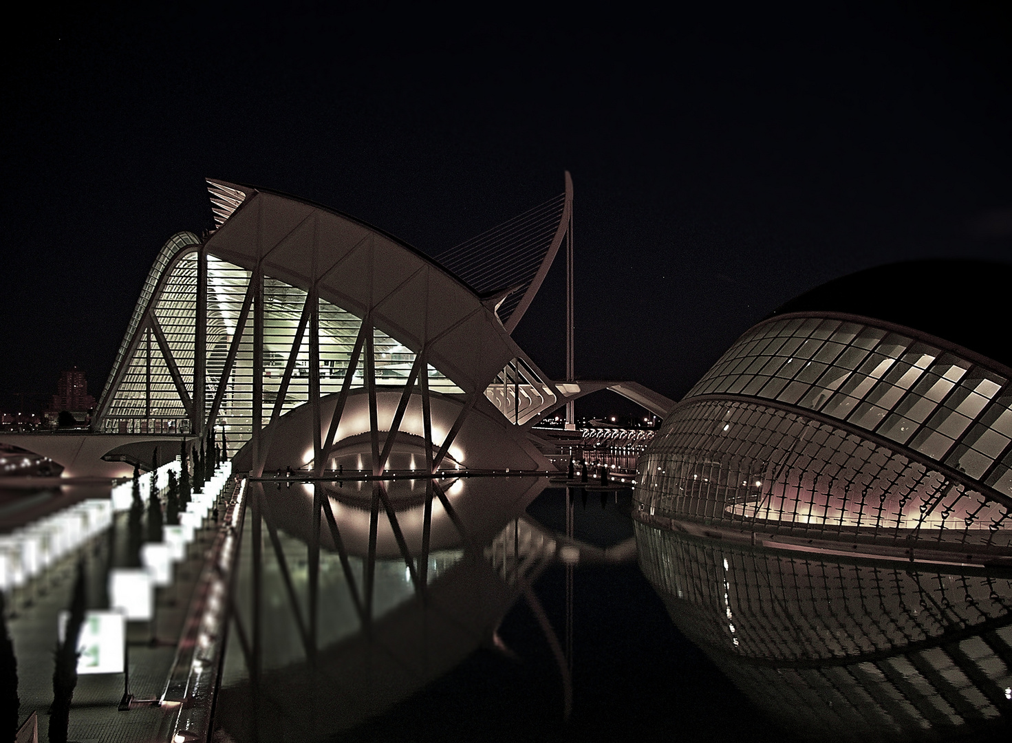 Ciudad de las Artes y las Ciencias - by Night -