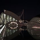 Ciudad de las Artes y las Ciencias - by Night -