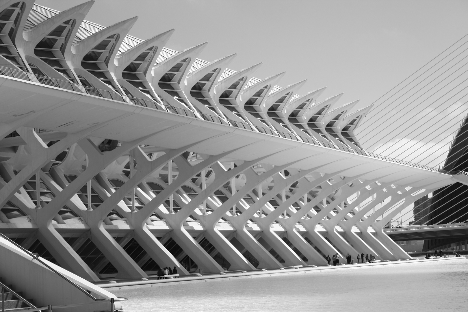 Ciudad de las artes y las Ciencias de Valencia