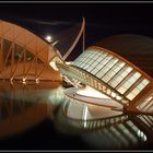 CIUDAD DE LAS ARTES Y LAS CIENCIAS