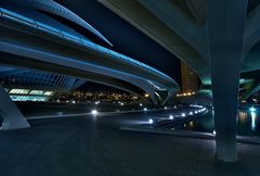 Ciudad de las Artes y las Ciencias V