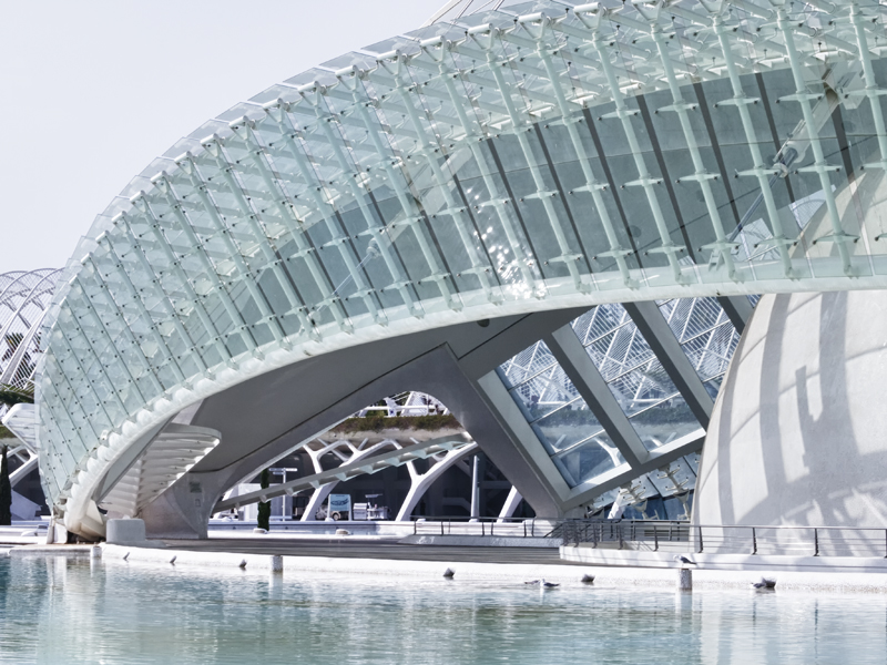 Ciudad de las Artes y las Ciencias (Valencia) 5