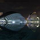 Ciudad de las artes  y las ciencias / Valencia