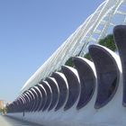 Ciudad de les Arts i les Ciències 5 - Valencia