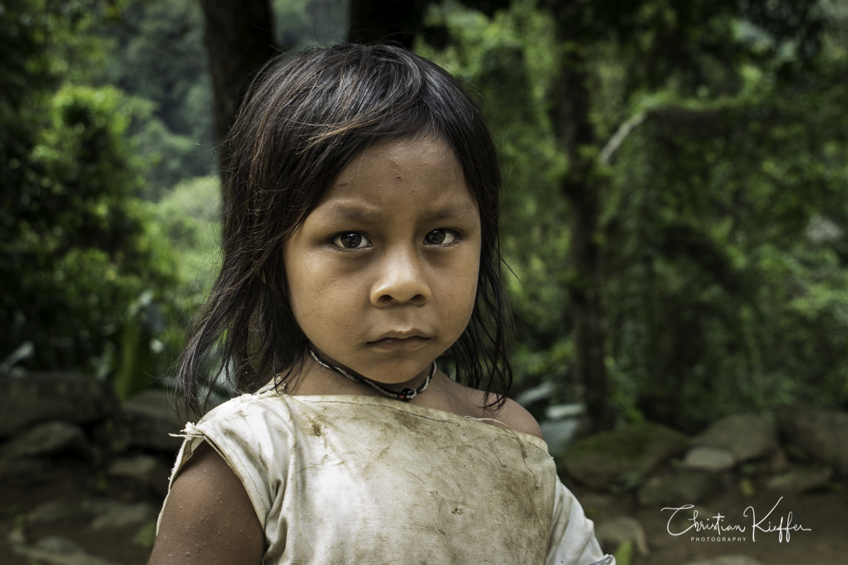 Ciudad perdida, Kogi