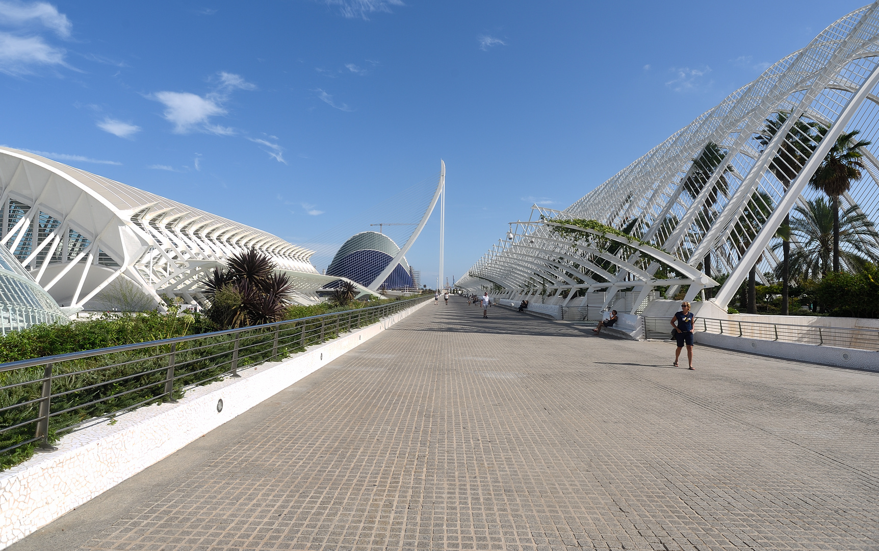Ciutat de les Arts i les Ciències Foto & Bild art, park, spain Bilder