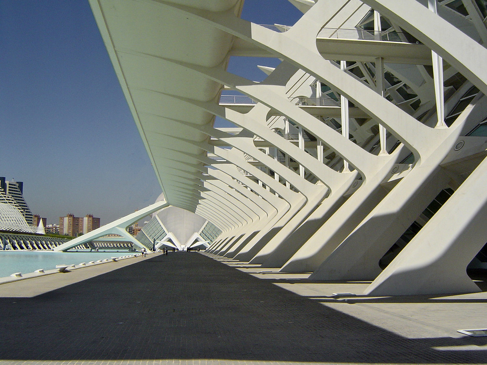 Ciutat de les Arts i les Ciencies 3 (Valencia)