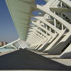 Ciutat de les Arts i les Ciencies 3 (Valencia)