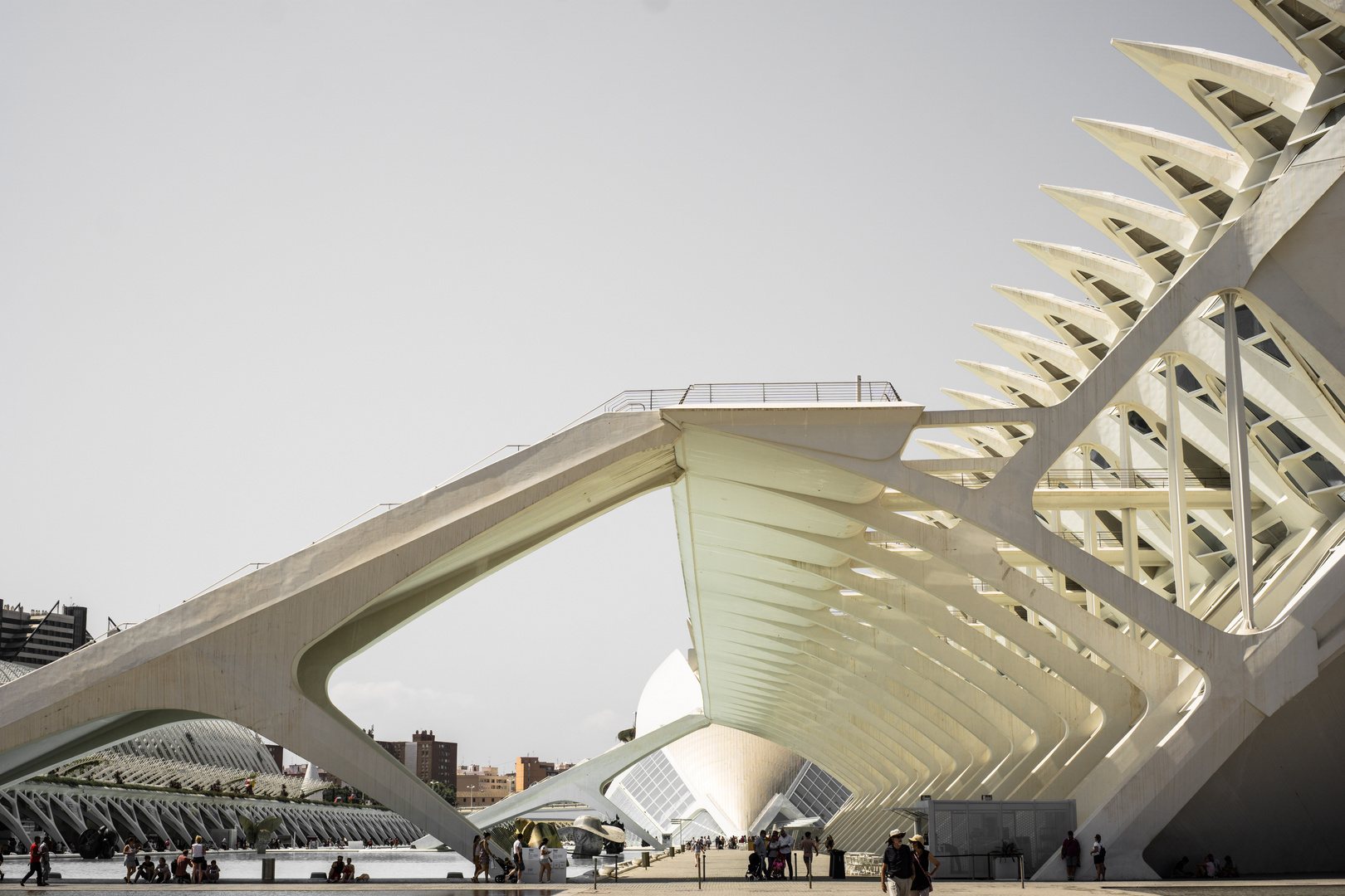 Ciutat de les Arts i les Ciències, Valencia