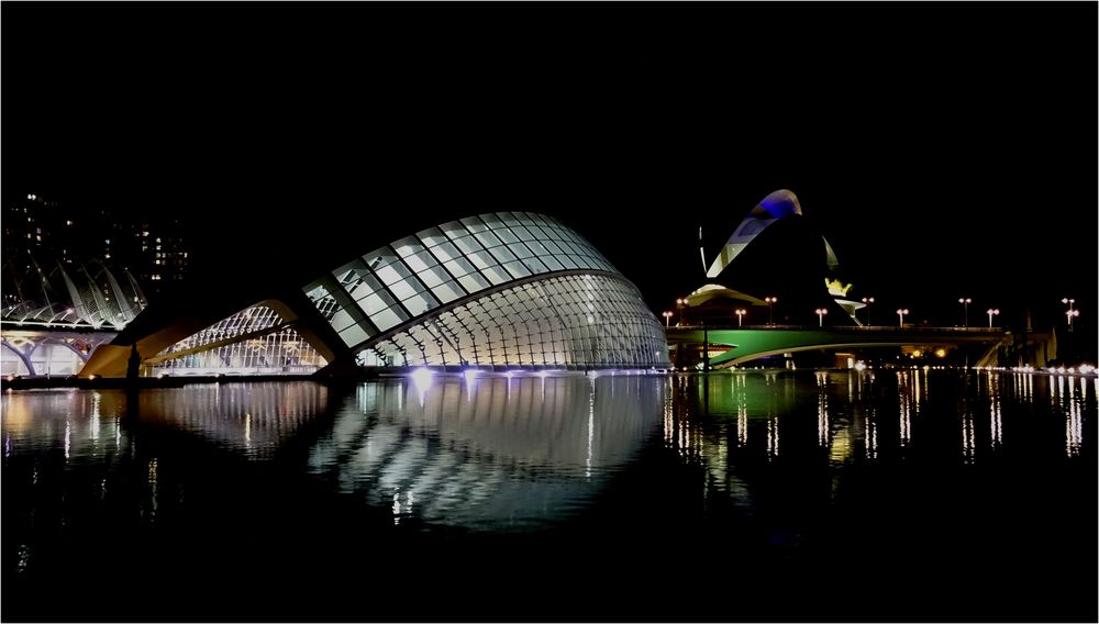 Ciutat de les Arts i les Ciències, Valencia (IV)